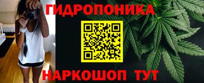 мяу мяу мука Лесосибирск