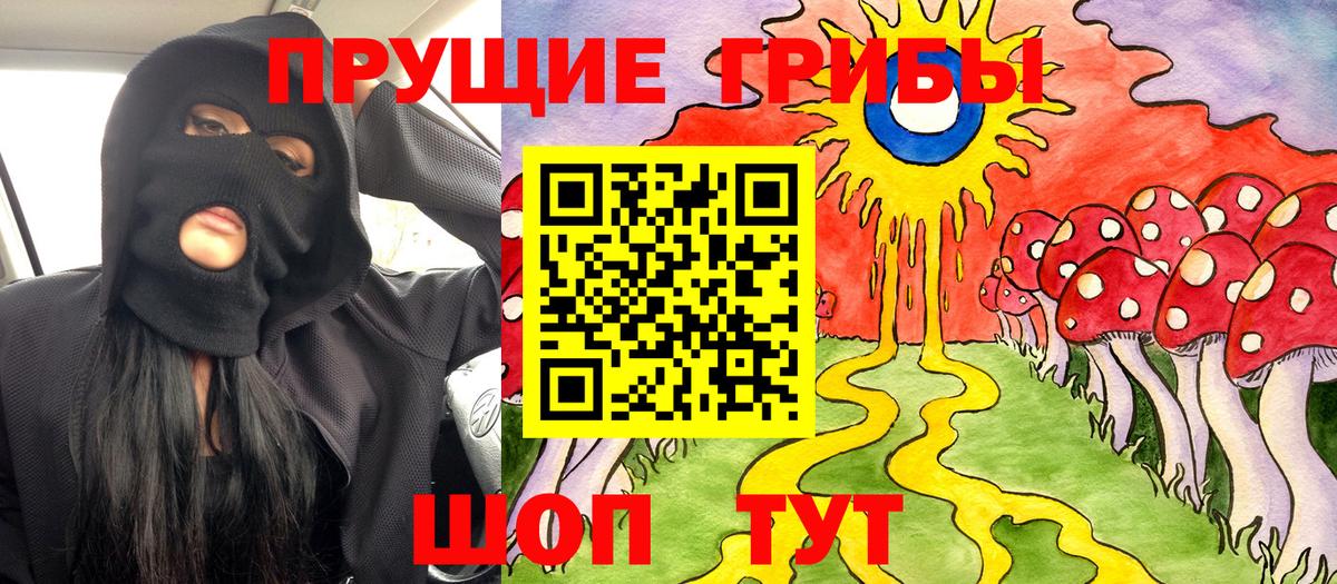 Псилоцибиновые грибы мицелий Великие Луки
