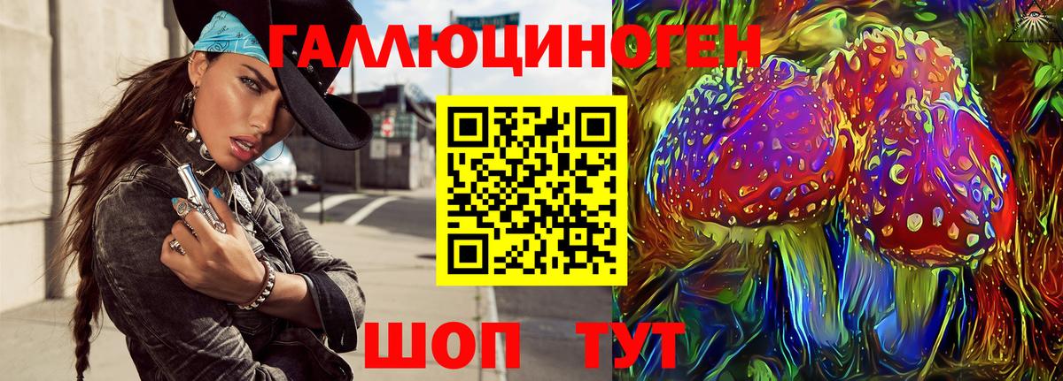купить наркотик  Вход с VPN  Псилоцибиновые грибы MAGIC MUSHROOMS  Великие Луки  Псилоцибиновые грибы Psilocybe 